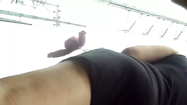 A csodálatos és dögös csaj, Yoko Matsugane dögös pornó testvérek cuccaiban pózol